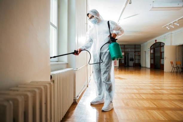 Reliable Romeoville, IL Pest control Solutions